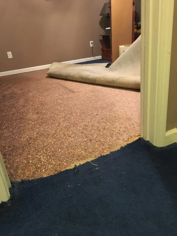 Carpet pad removal revealing water damage during Drying & Dehumidification in Newport News