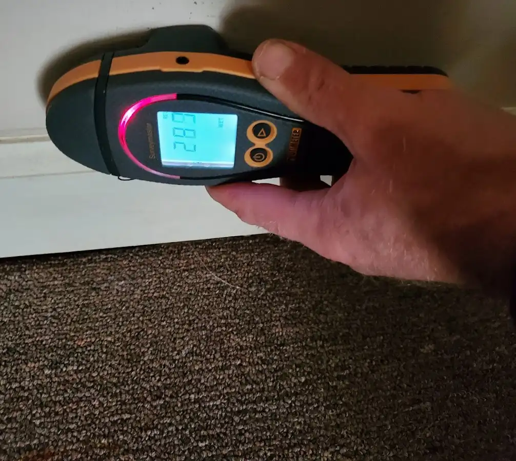 Moisture detection at baseboard during Burst Pipe Cleanup in Newport News